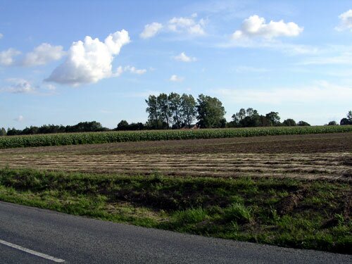 Agincourt (Azincourt) Battlefield