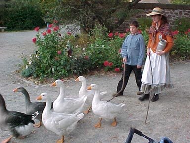 The museum has a working farm with lots of ducks