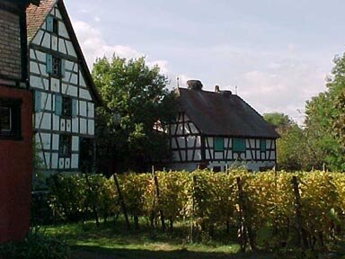 Typical Alsacien farm houses.