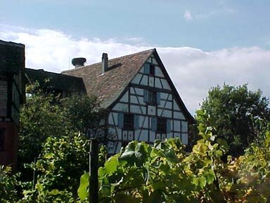Typical Alsacien house next to a vineyard