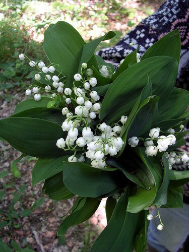 Lily of the Valley Bouquet from 2007