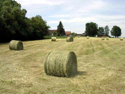 French Bales of Hay