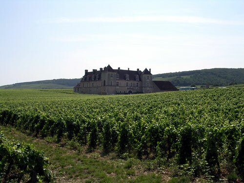 Chateau du Clos de Vougeot View