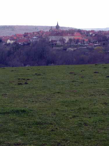 Flavigny-sur-Ozerain View