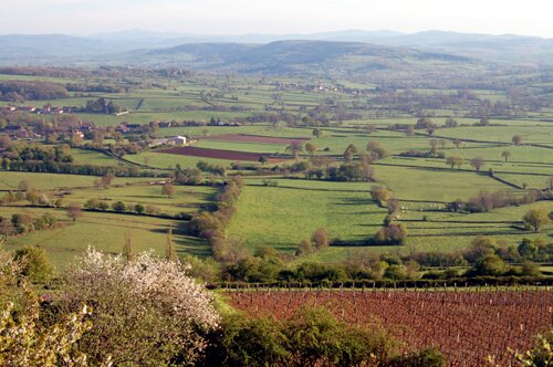 Photo of the Burgundy countryside taken from Saint-Clément-sur-Guye.